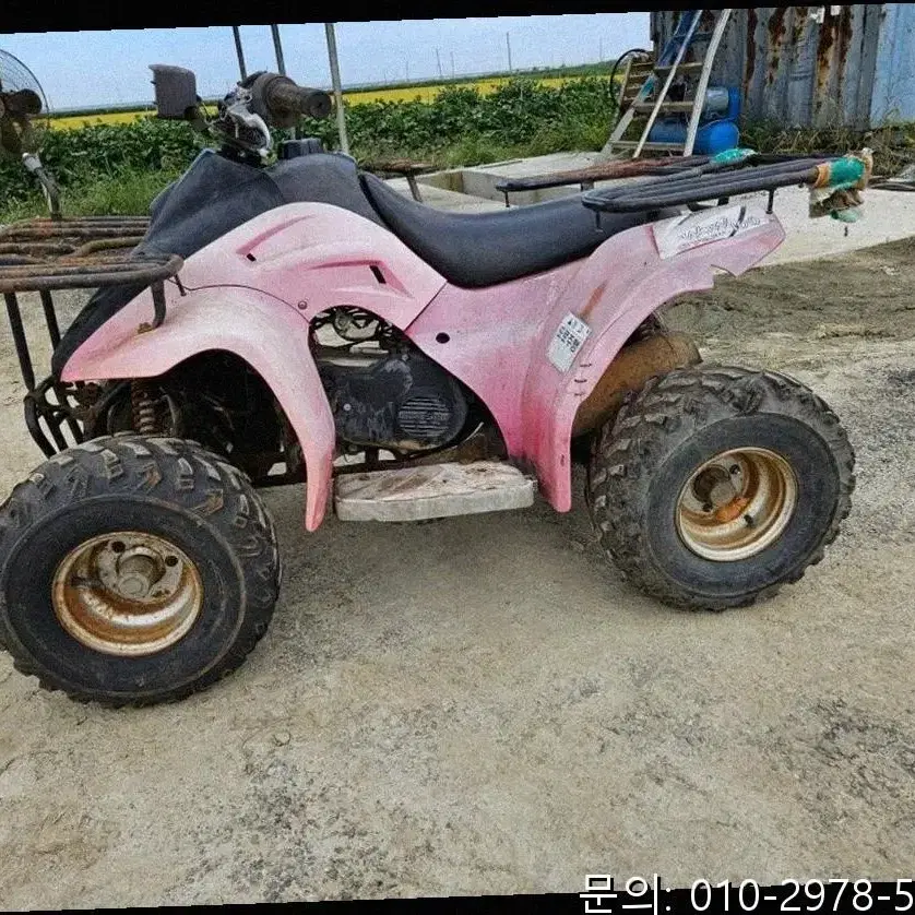 와우 100cc ATV 오토바이 - 강력 파워