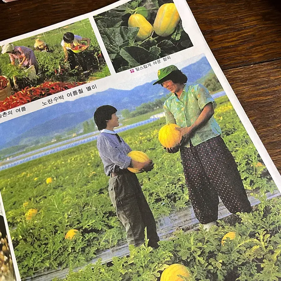 빈티지잡지 옛날잡지 레트로 잡지 국민학교 서적 책 근현대사 (여름)