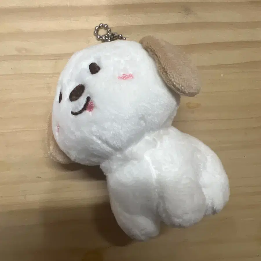 라이즈 앤톤 10cm 인형 멍룡이 양도해요