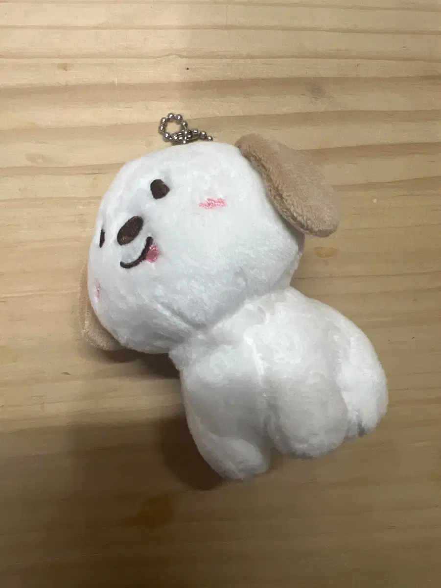 라이즈 앤톤 10cm 인형 멍룡이 양도해요