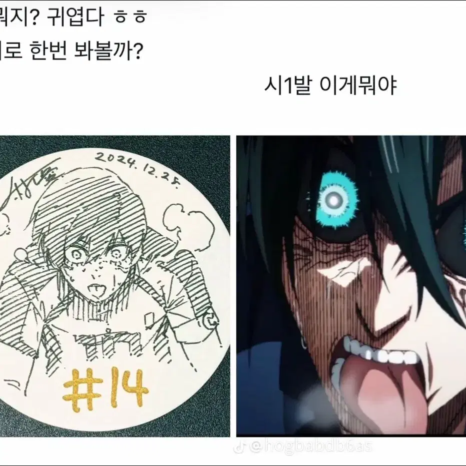 프세카 카나데 두부 누이 판매