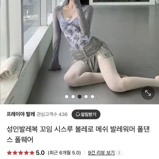 프레이야 시스루 메쉬 발레복 폴웨어