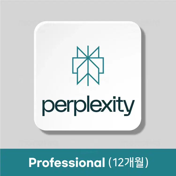 퍼플렉시티(Perplexity) AI PRO 1년 이용권 80%할인