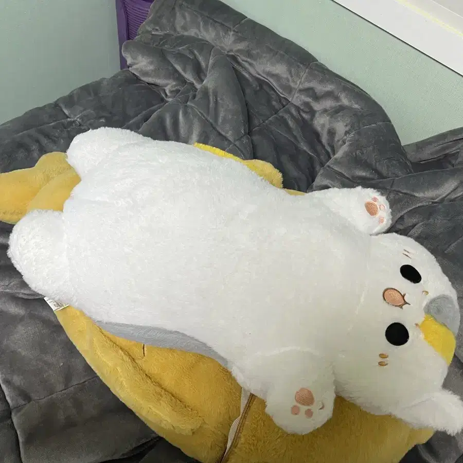 80cm 붕어빵 고양이