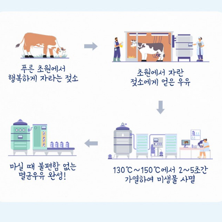 무료배송-폴란드 멸균우유 1000ml 12개 흰우유