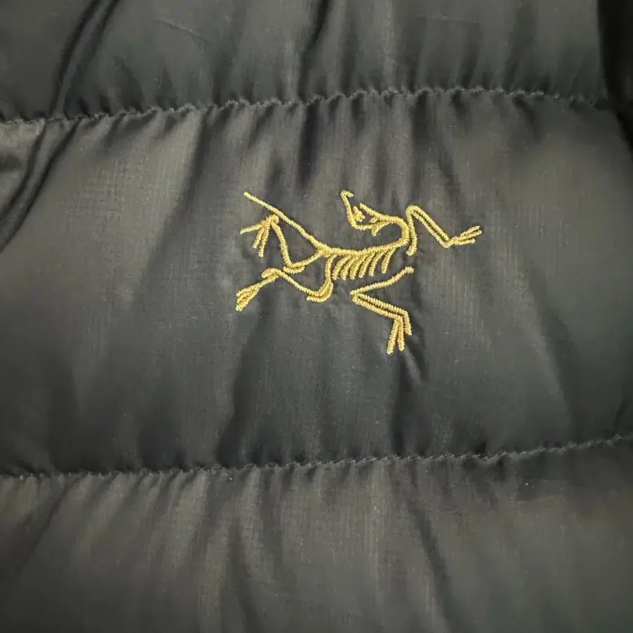 아크테릭스 토륨 ar 24k 블랙 Arc'teryx Thorium AR