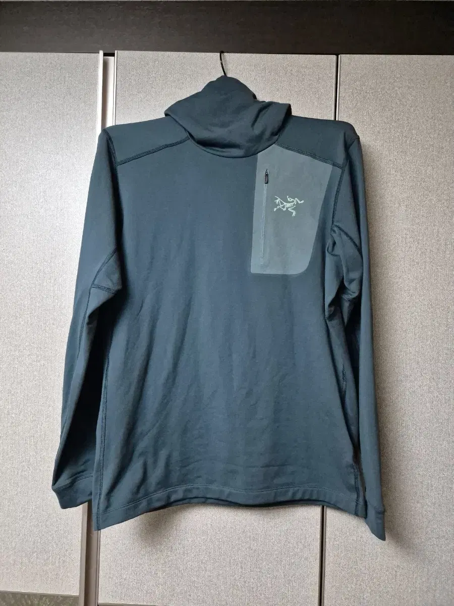 Arcturix RLT Hoodie