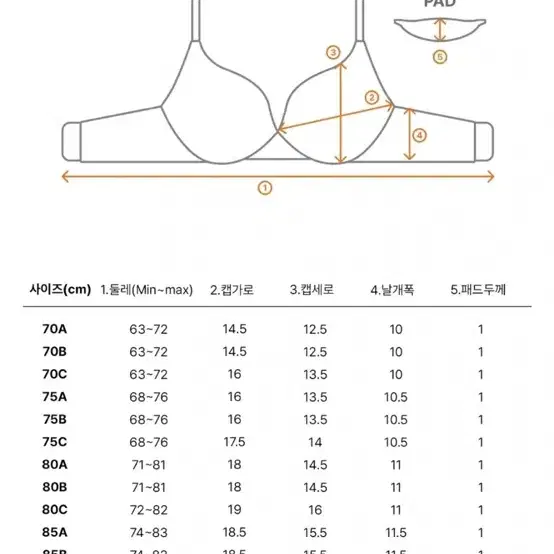 도로시와 브라+팬티 속옷(새상품)