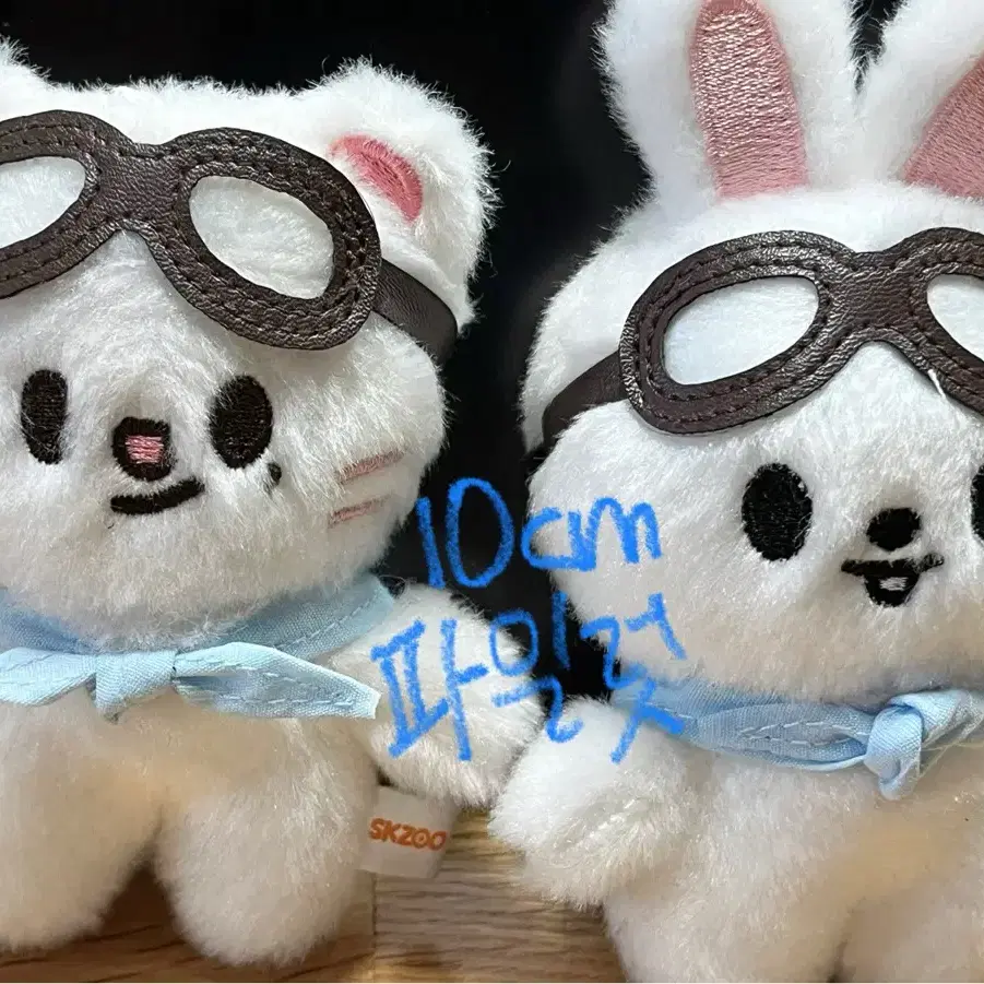 스키주 10cm 파일럿 리노 현진