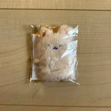 손가락 인형 키링 아이엔 FoxI.Ny dominate