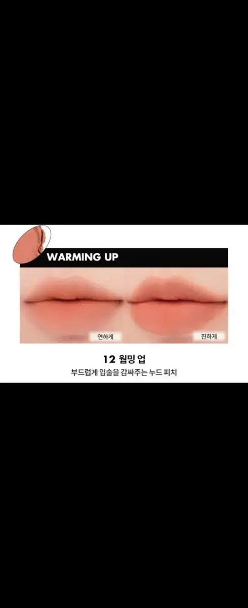 ㅡ미개봉 새제품 ㅡ 롬앤 블러 퍼지 틴트 12 웜밍 업