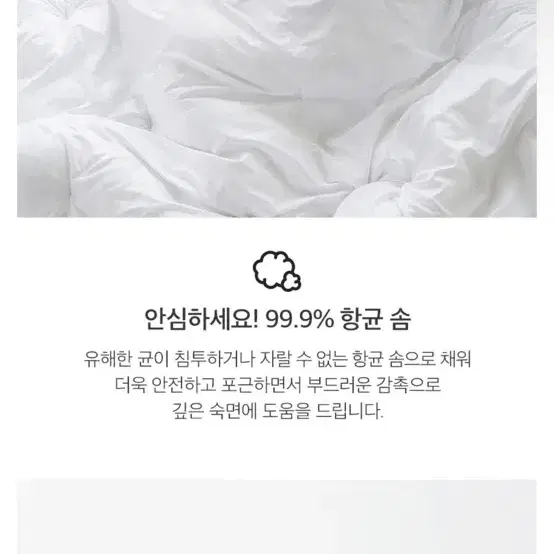 라뽐므 알러지방지 토퍼