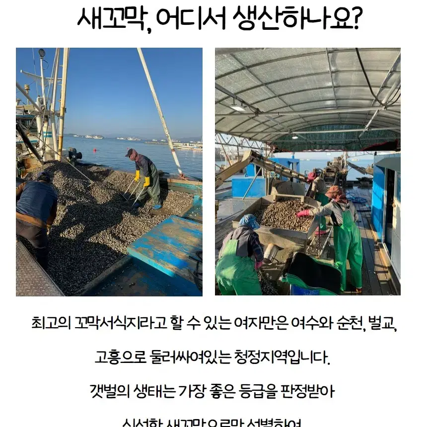 벌교 새꼬막 1kg 소120미 이상