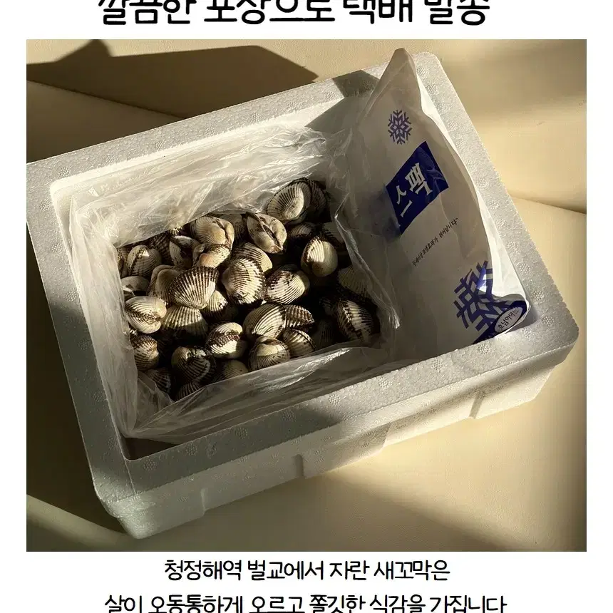 벌교 새꼬막 1kg 소120미 이상