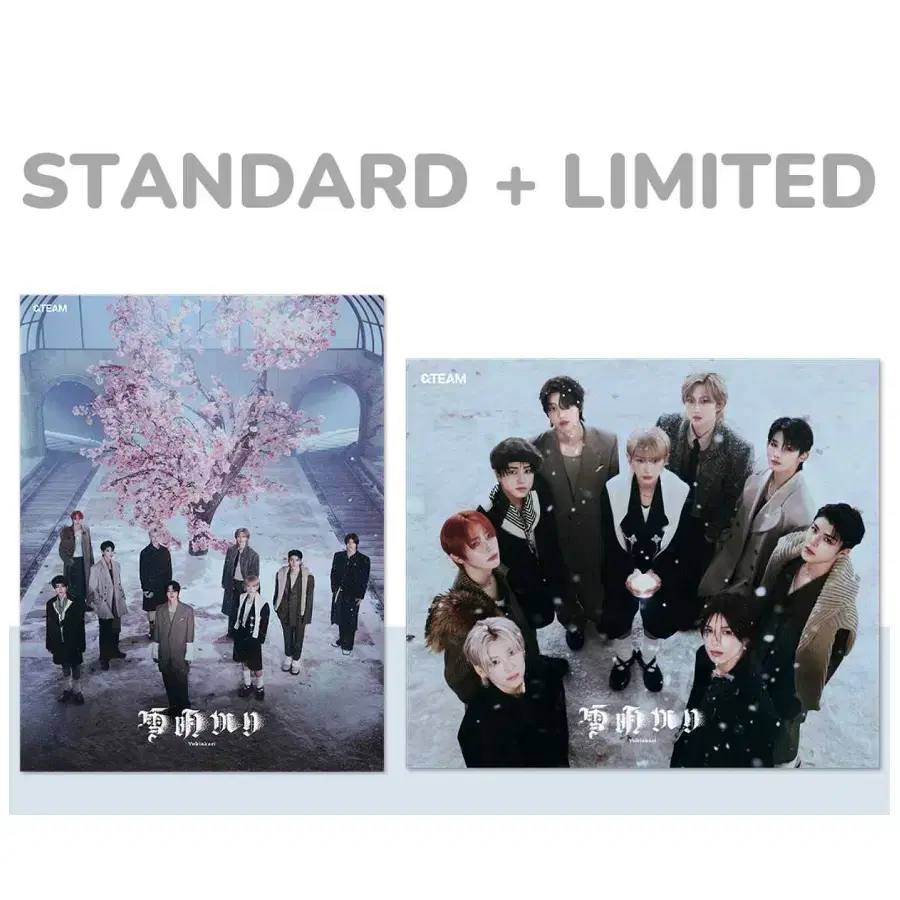 STANDARD + LIMITED &TEAM 앤팀 Yukiakari