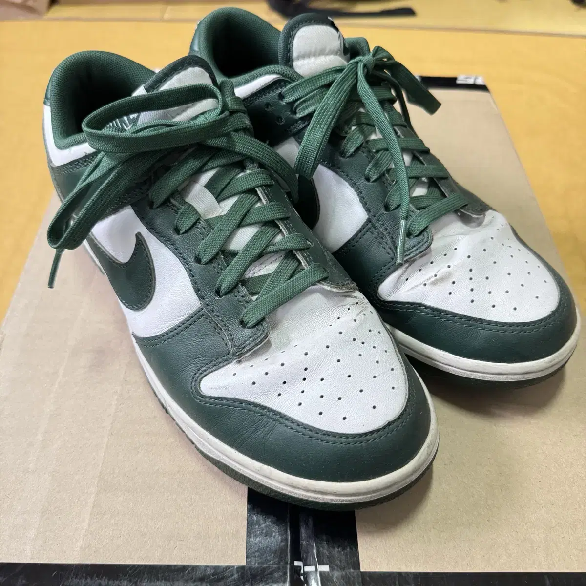 Nike Dunk Low Retro Varsity Green 255