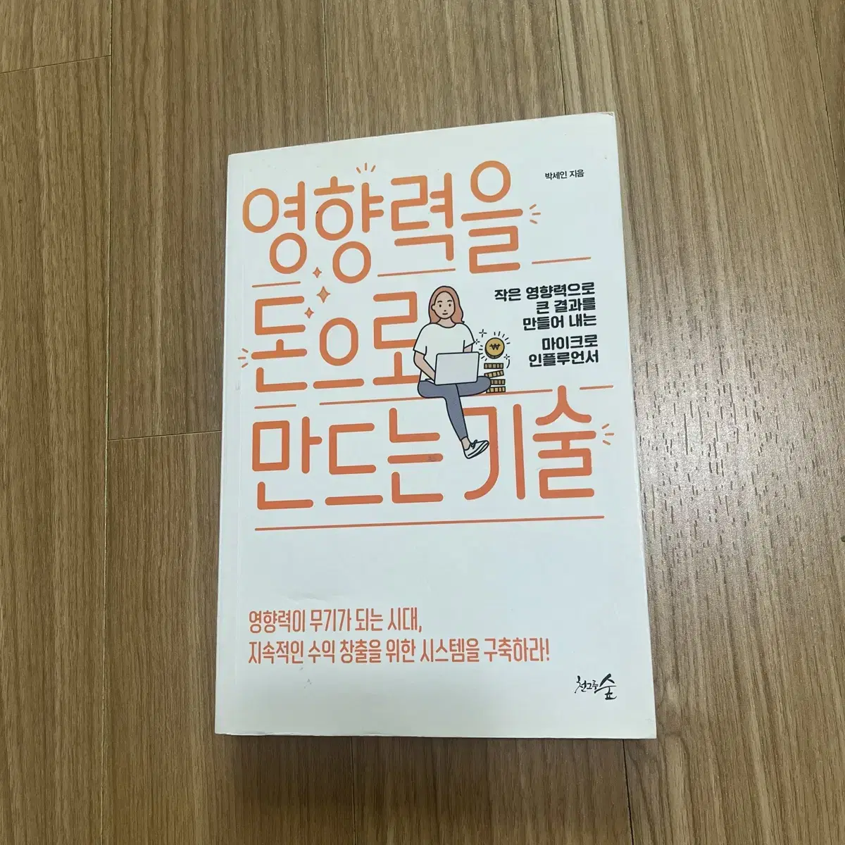 영향력을 돈으로 만드는 기술