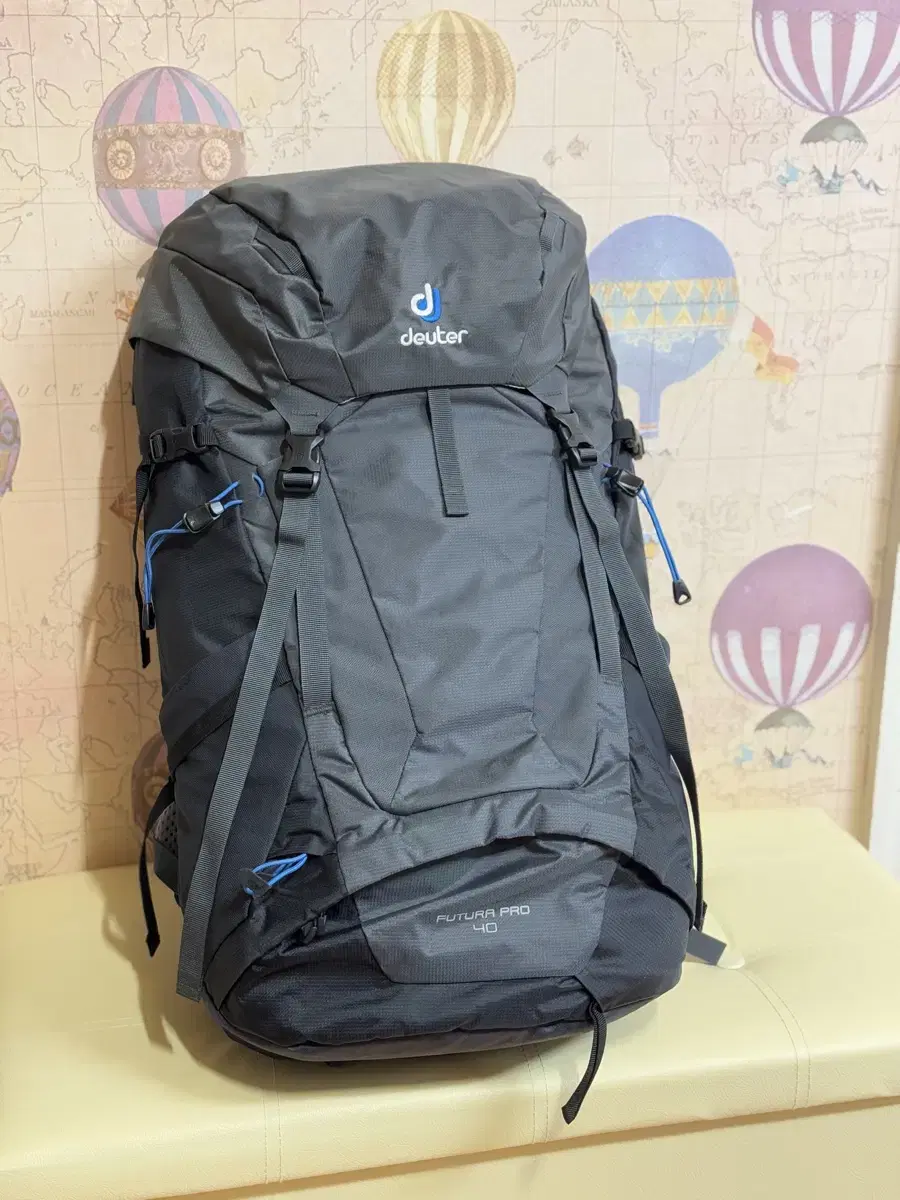 도이터 배낭 40. deuter futura pro