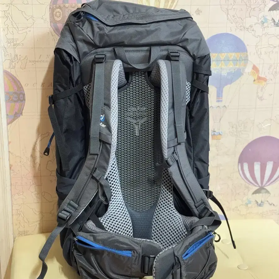 도이터 배낭 40. deuter futura pro