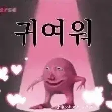 양정인 이불포카