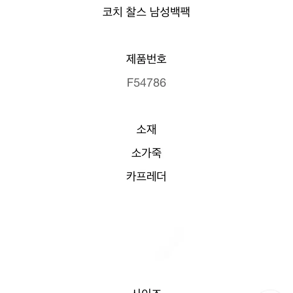 코치 찰스 가죽 백팩 비즈니스