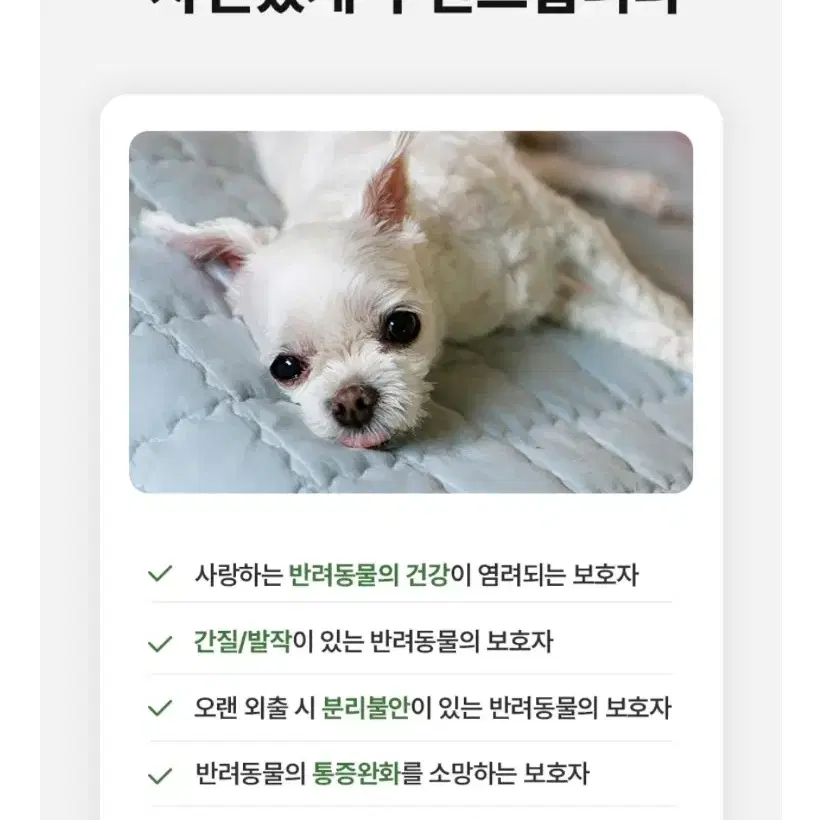 강아지,고양이 고함량 CBD 릴리브 오일