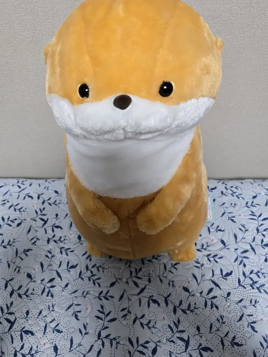 Amusement Otter Doll Large (Made in Japan) Usoyan