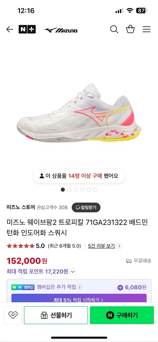 Mizuno Badminton Shoes 260