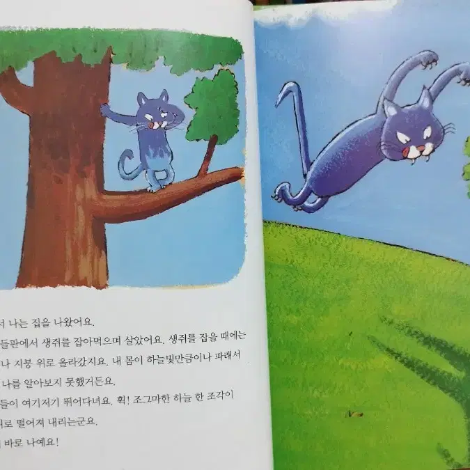 [웅진북클럽] 와글와글 읽기책 70권 별책4권