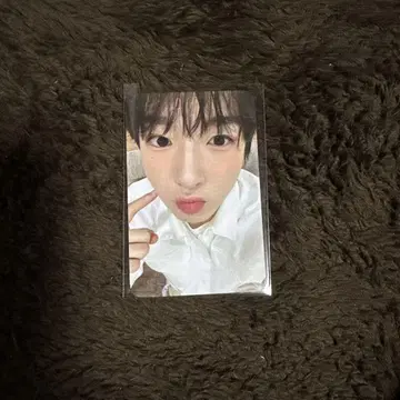 NCT WISH SONGBIRD WITHMU 영통 트레이딩 카드 사쿠야
