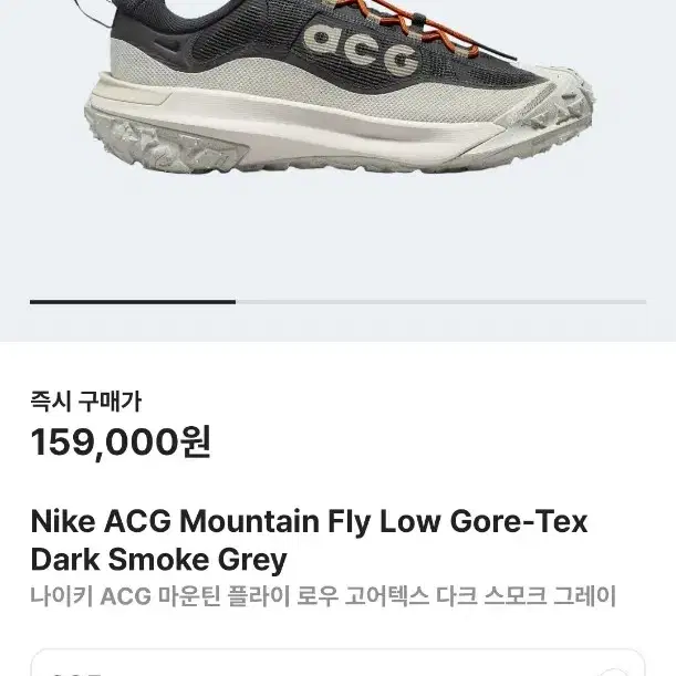 나이키 ACG 마운틴 플라이 2 로우 GTX 285