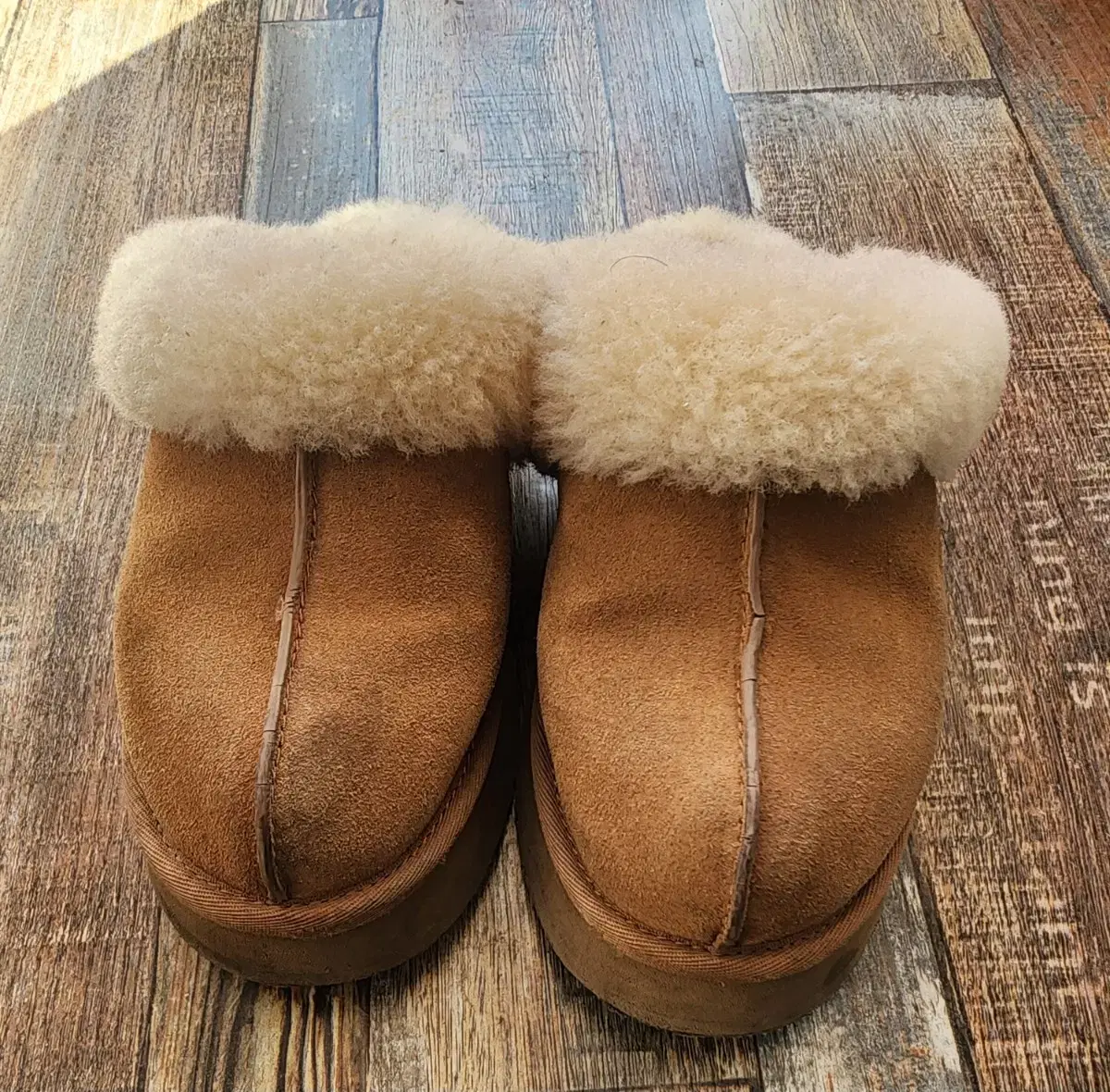 미국 ugg 디스케트