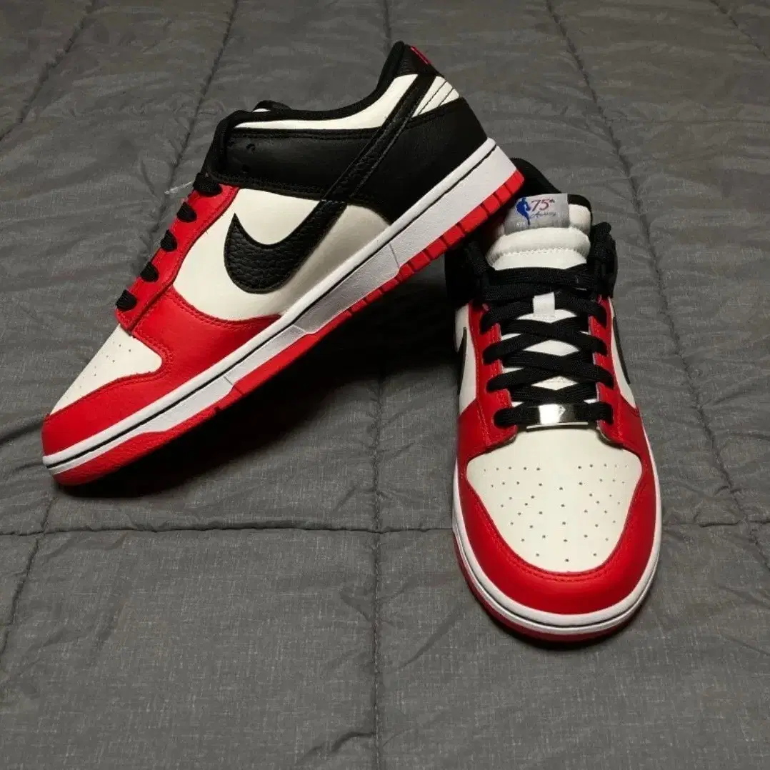 Nike x NBA Dunk Low Retro EMB Black,Red