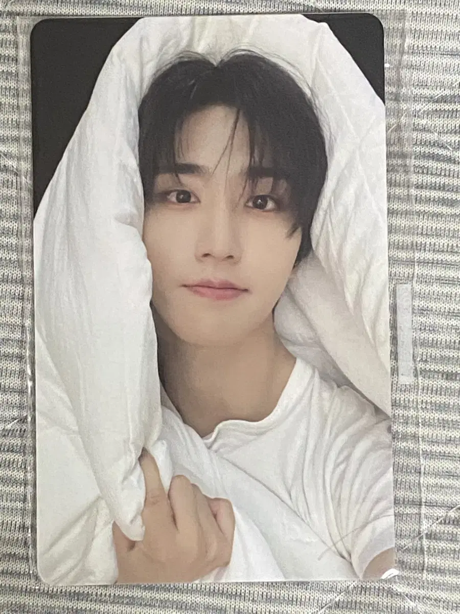 straykids skz sum jyp shop duvet photocard han