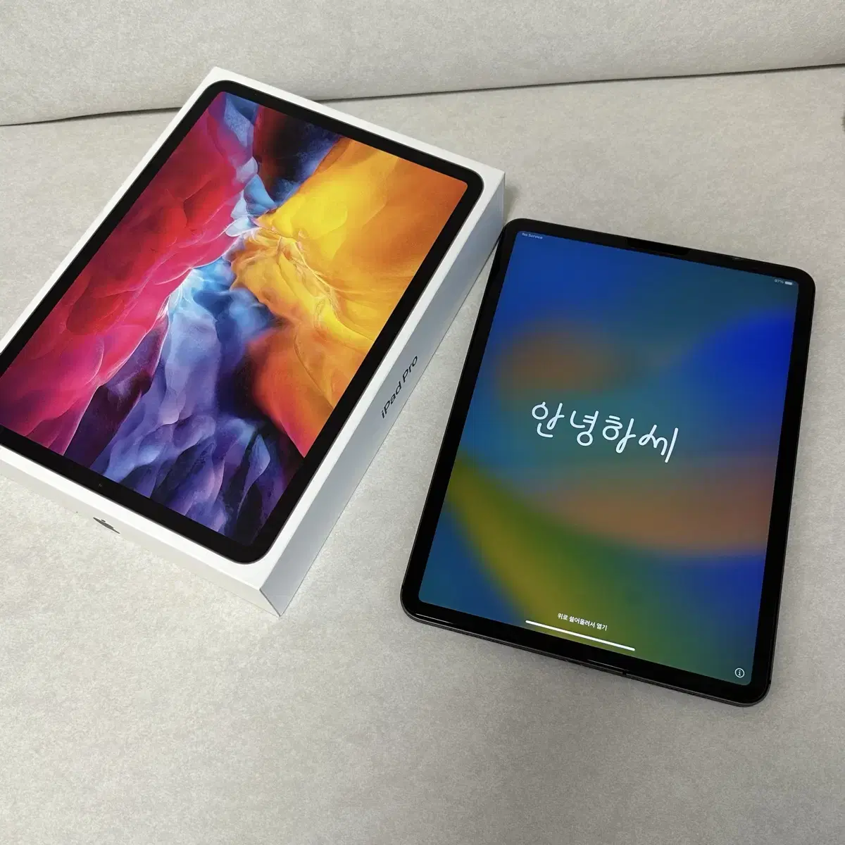 iPad Pro 2nd Generation 11-inch 256G Cellular