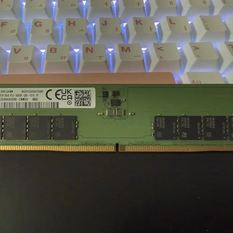 ddr5 32gb 5600mhz