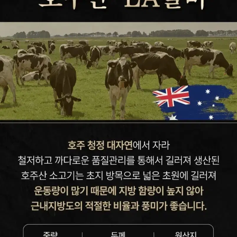 미국/호주 LA갈비 꽃갈비  2~4kg 선물포장