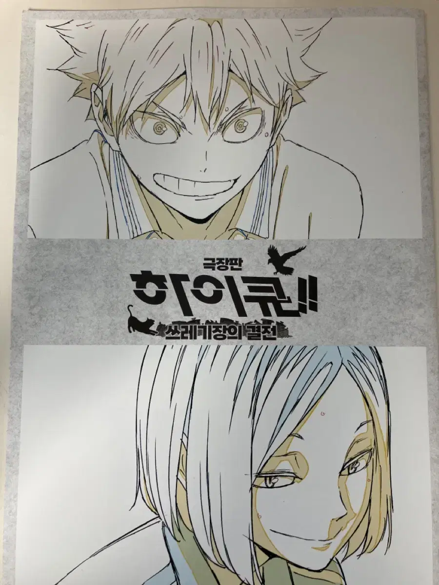 Haikyuu Booklet