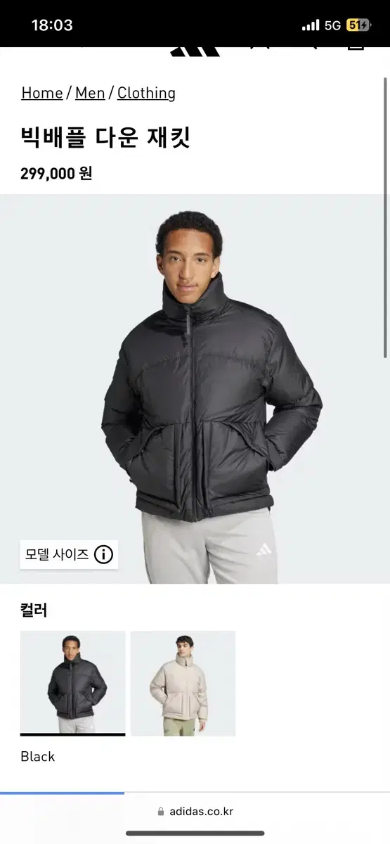 Adidas Big Baffle Down Jacket IV9776