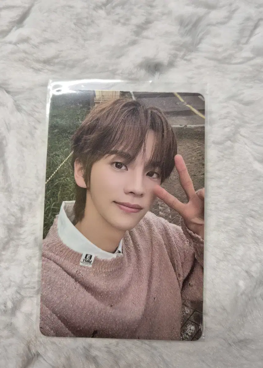 Xinyu season's greetings photocards