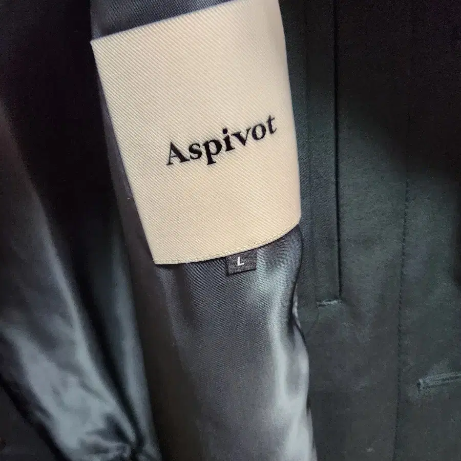 aspivot 코트