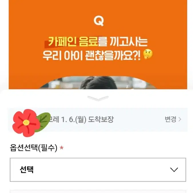 에너씨슬 집중샷 5상자