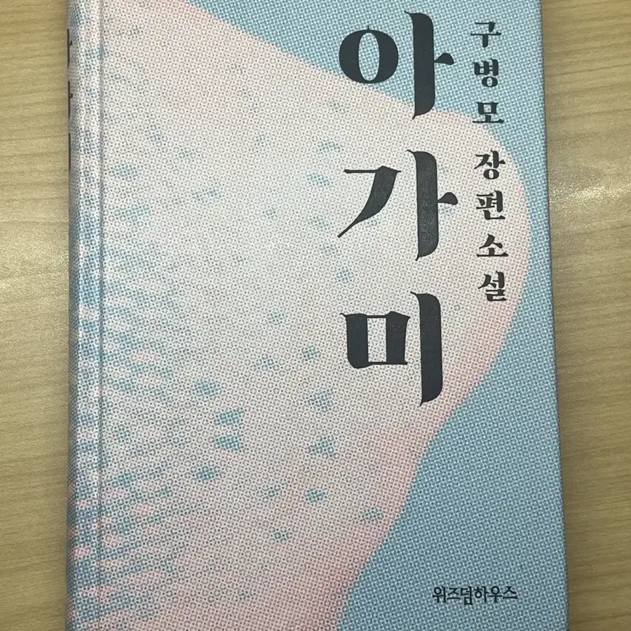 구병모 아가미