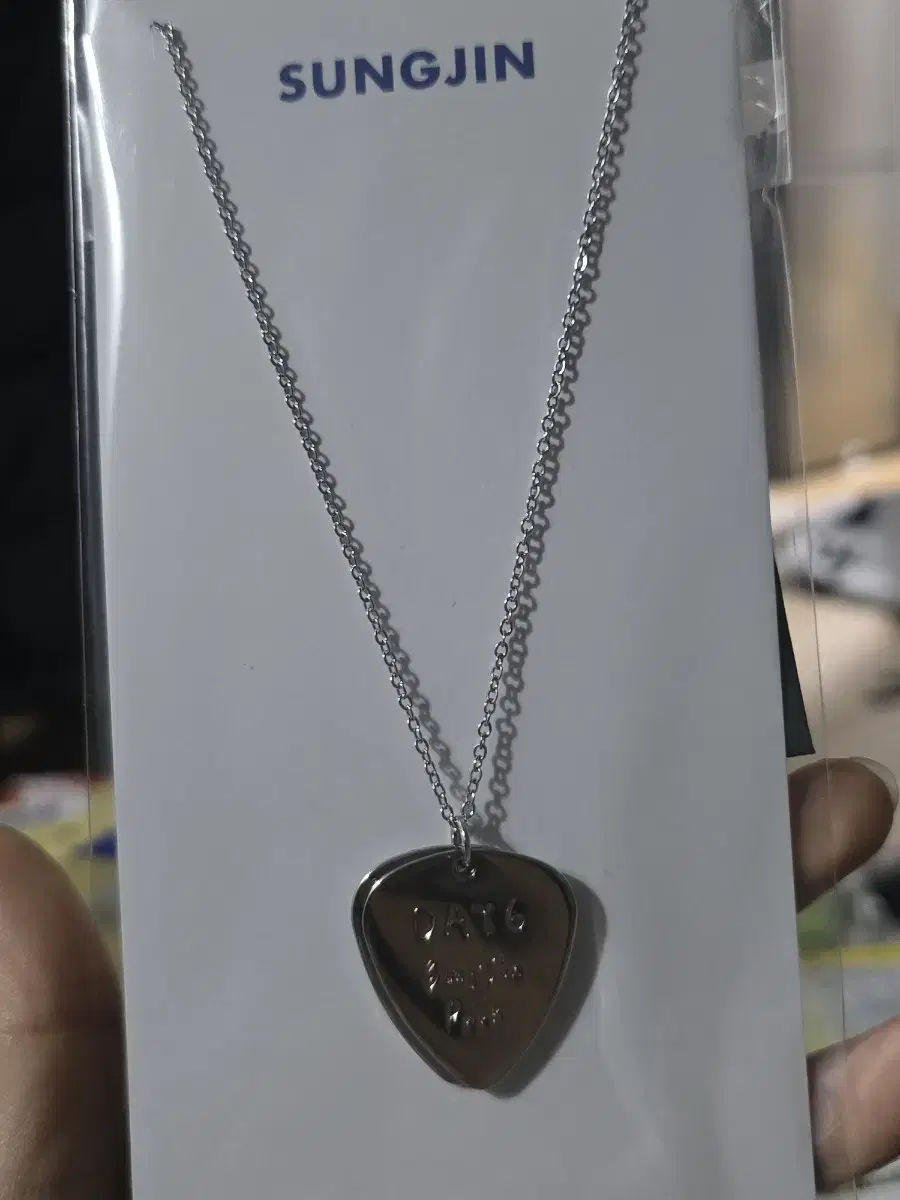 Day 6 Sungjin 30 Peak Necklace