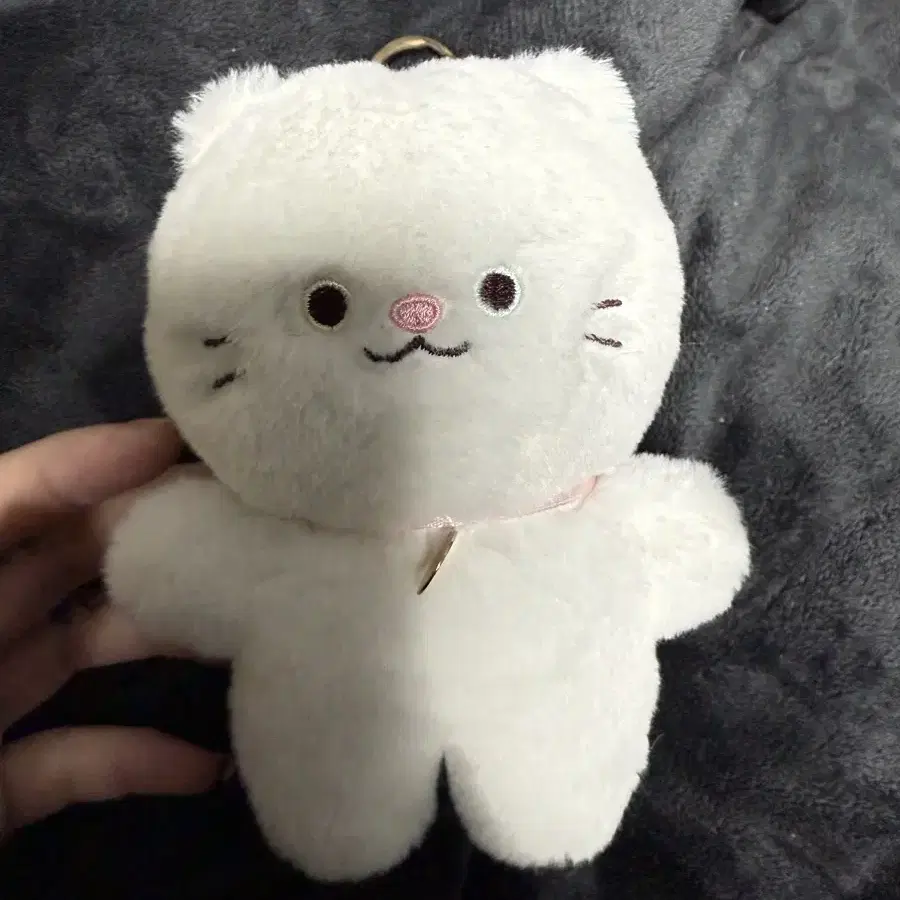 고양이 인형 키링