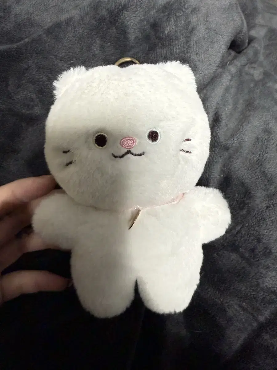 고양이 인형 키링