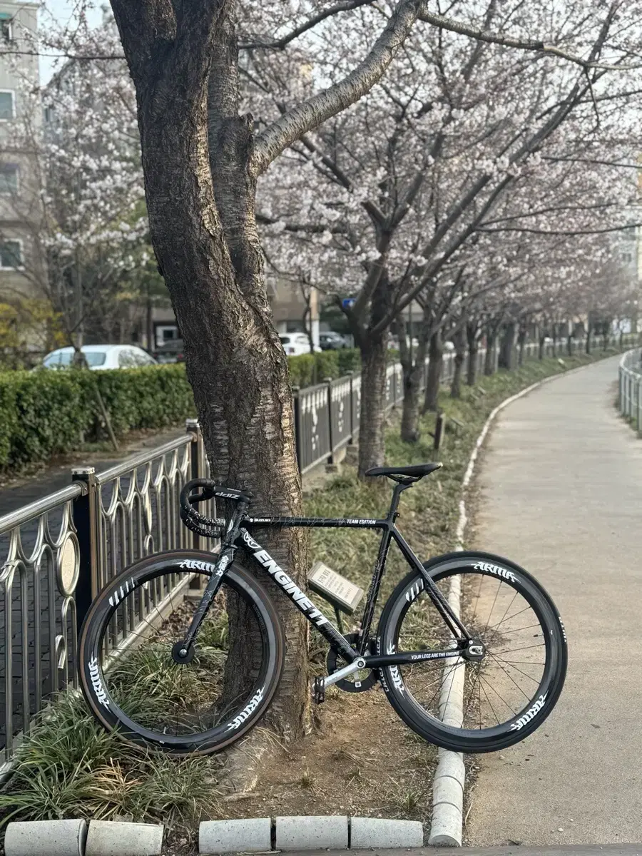 엔진11 팀 에디션 중급구성 대차봅니다