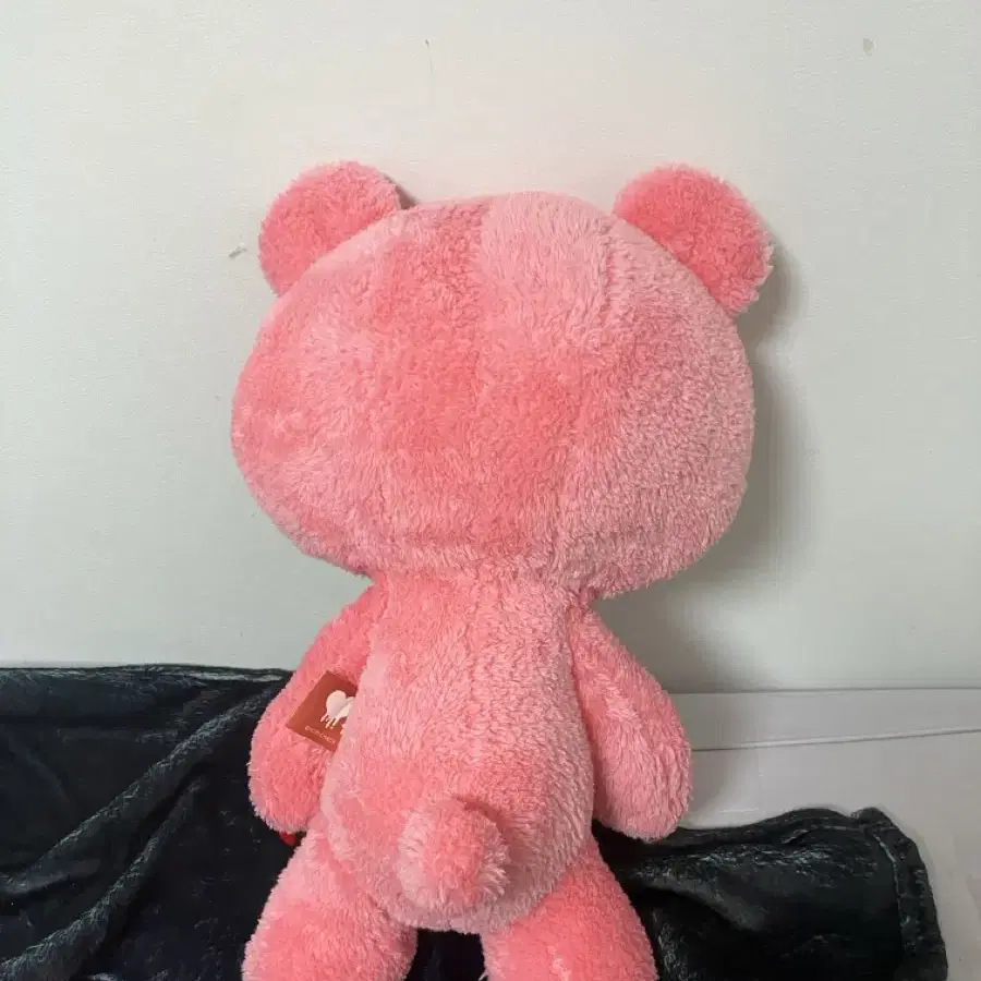 글루미베어 양재 팝업 35cm 인형