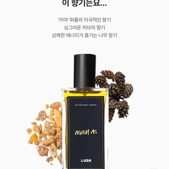 러쉬 프레쉬 애즈 LUSH FRESH AS 향수 100ml