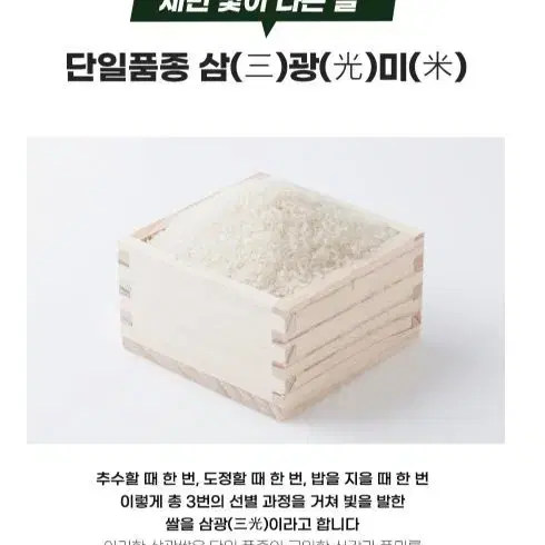 쌀 20kg - 강화섬쌀 상등급 단일품종 햅쌀 삼광미